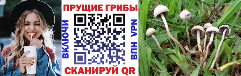 Галлюциногенные грибы MAGIC MUSHROOMS MEGA ТОР Пудож